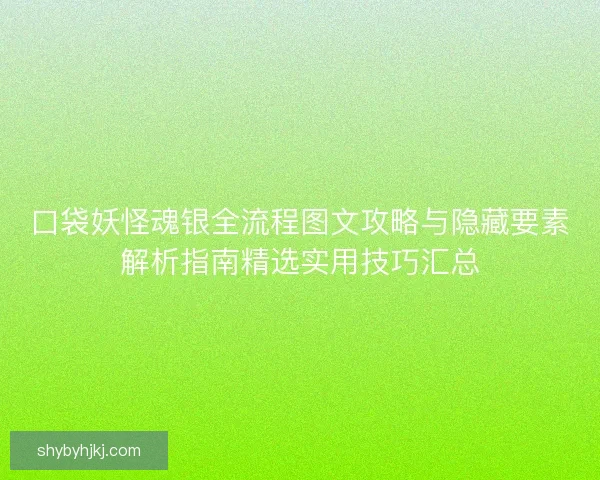 口袋妖怪魂银全流程图文攻略与隐藏要素解析指南精选实用技巧汇总