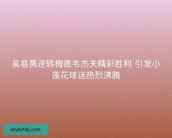 吴易昺逆转梅德韦杰夫精彩胜利 引发小莲花球迷热烈沸腾